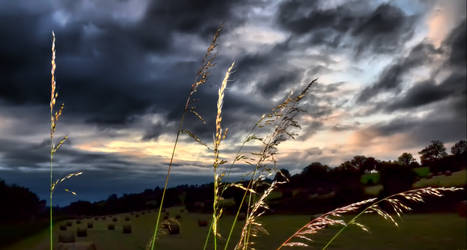 OmInOUs CounTrYsIDe