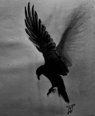 Drawing an eagle with pencil and charcoal