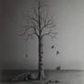 a lonely tree