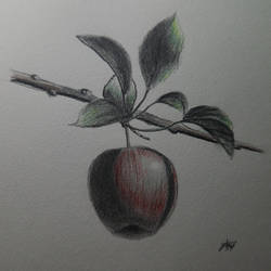 apple