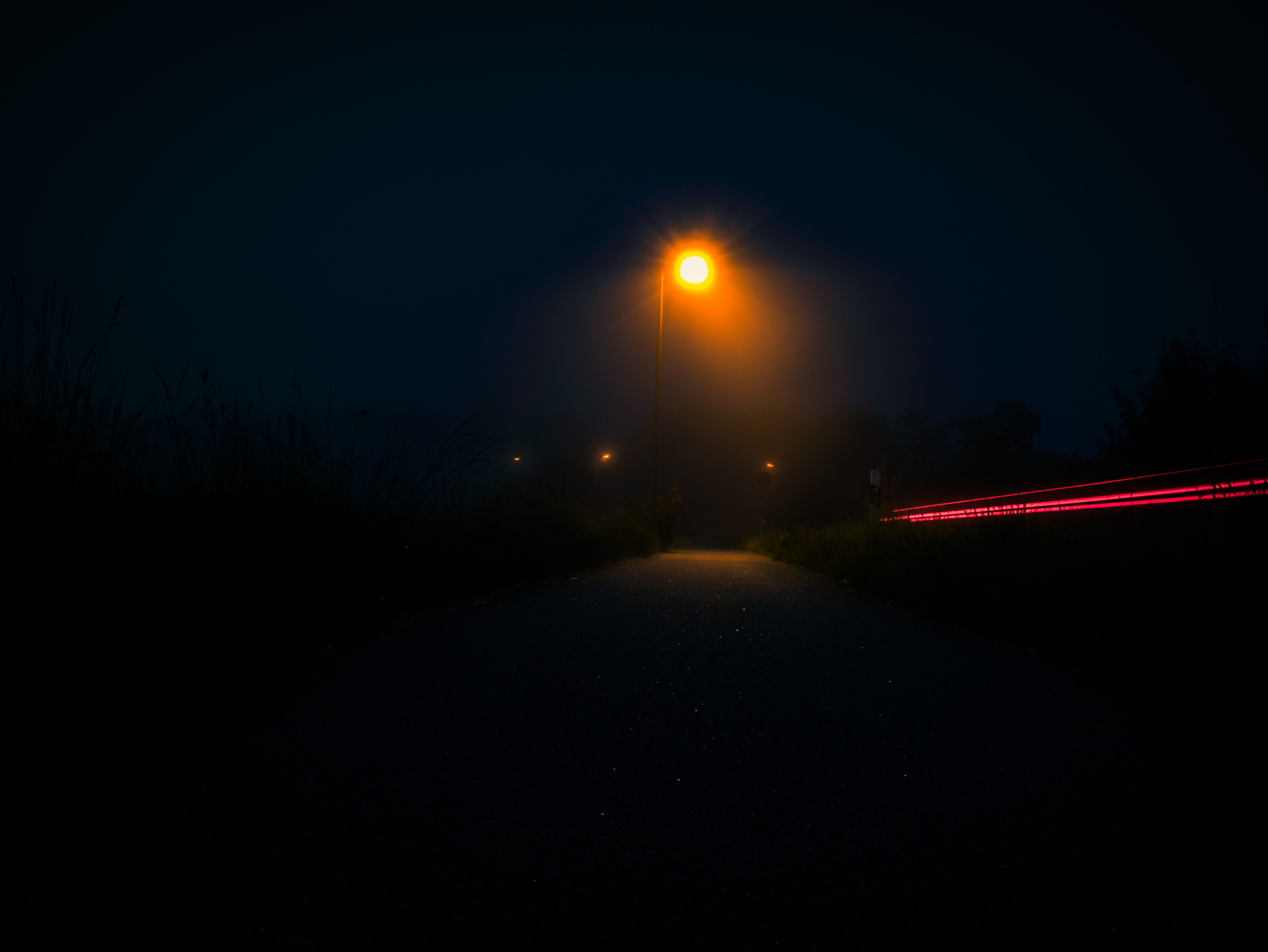 The Dark Way Home