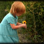 Little Girl and Sunflower