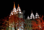 Salt Lake Temple - Christmas by houstonryan