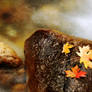 Maple leaves placed on rock