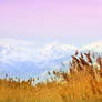 Lone Peak Wilderness backdrop