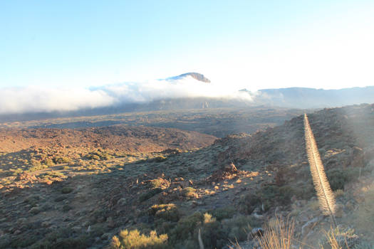 El Teide Nationalpark