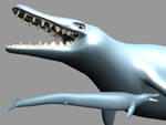 Basilosaurus model