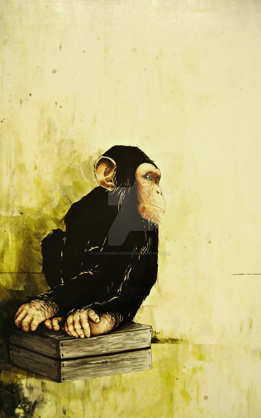 Chimp on wooden case