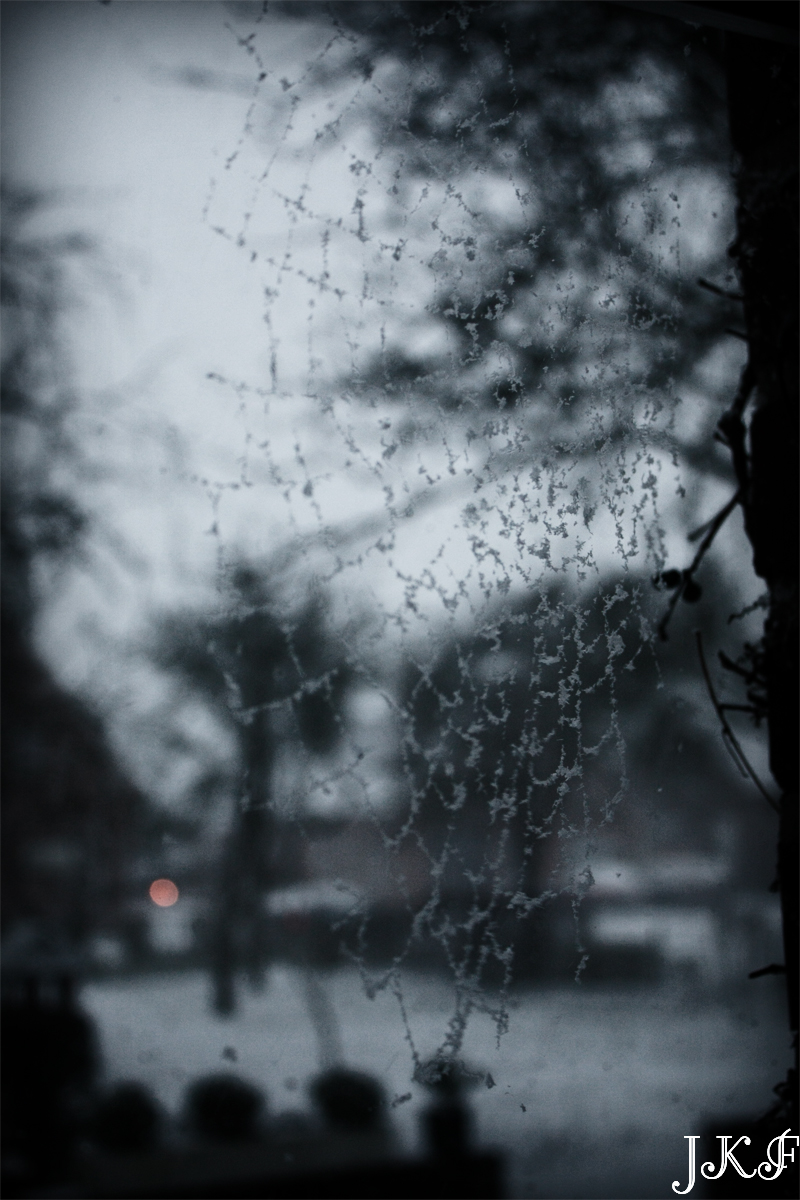 spiderweb