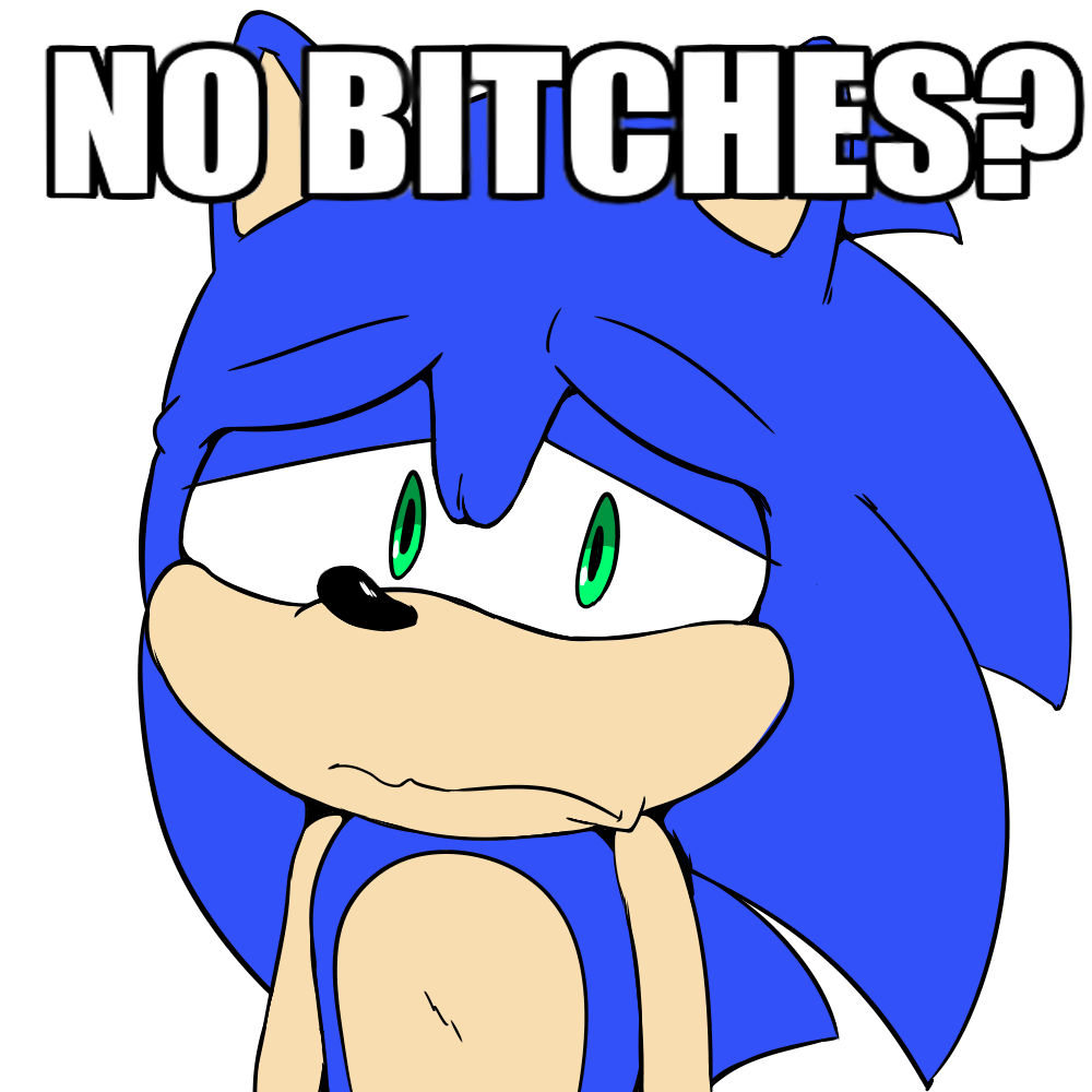 no bitches meme