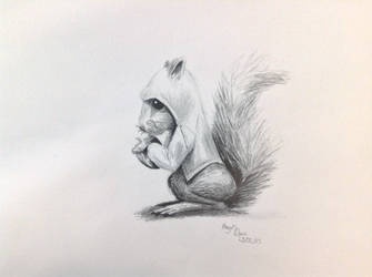 Quick squirrel drawing I did in art at school.