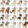 FREE NATURAL PUPPY ADOPTS CLOSED