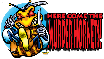 Here Come the Murder Hornets