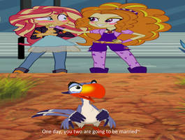 Zazu Approves Sundagio