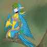 + Blue Gold Macaw -