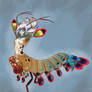 - Peacock Mantis Shrimp -