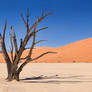 Deadvlei Panorama