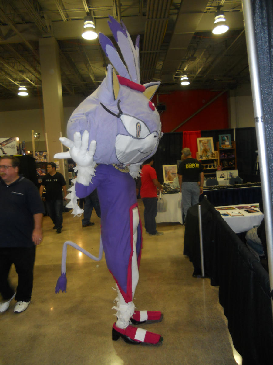 Blaze the Cat costume supercon