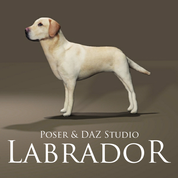 Labrador