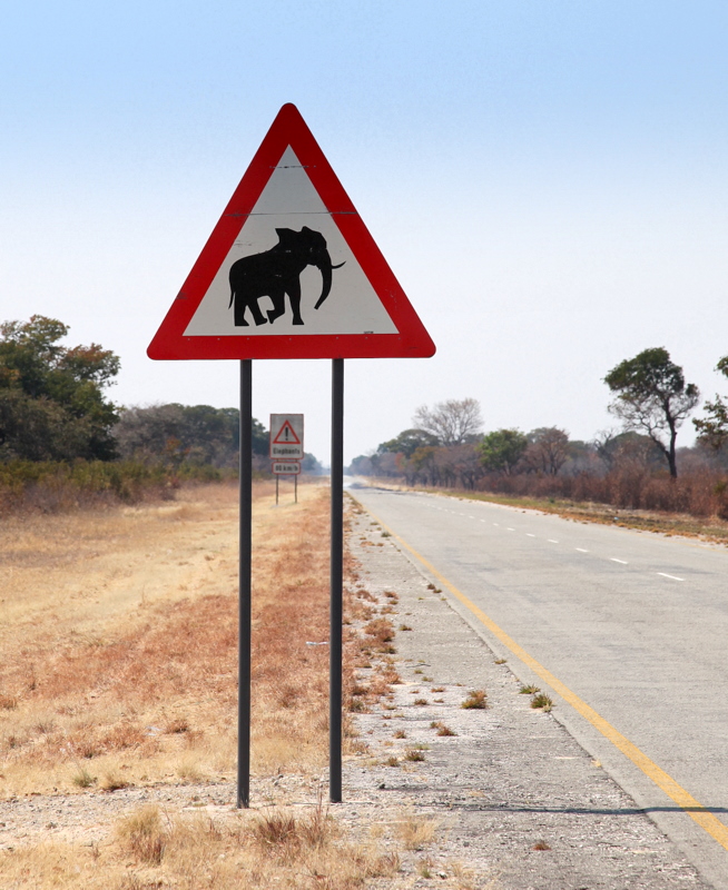 Beware elephants