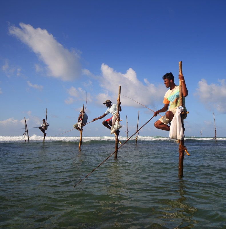 Stilt fishermen of Sri Lanka