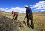 Farmer in Tibet by Suppi-lu-liuma