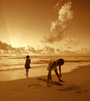 Beach at the sunset