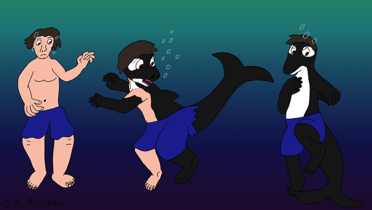 Anthro Orca TF by Joshua-Reynard on DeviantArt