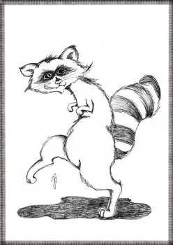 Anatomically correct raccoon