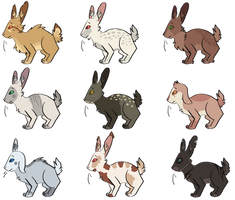 Rabbit Adopts [5/9 OPEN]