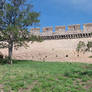 Two Trees And The Fortress Wall