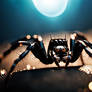DreamUp Creation: Black Spider -1-