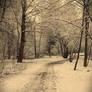 Snowy Pathway -3-