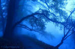 Blue Gate by GaiusNefarious