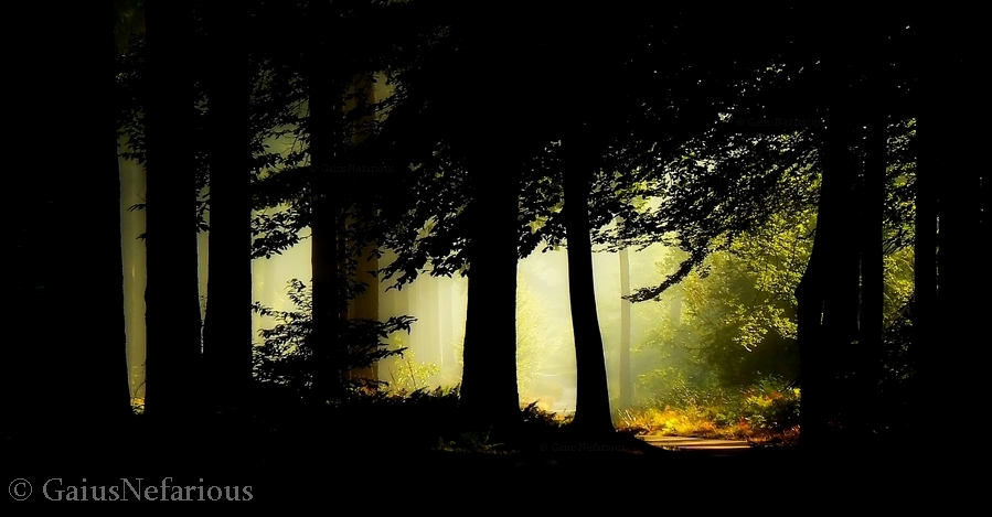 In the shadow by GaiusNefarious In the shadow by GaiusNefarious