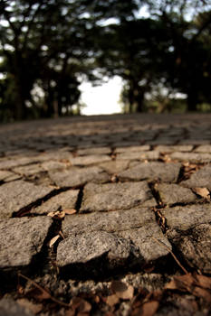 stone walk way