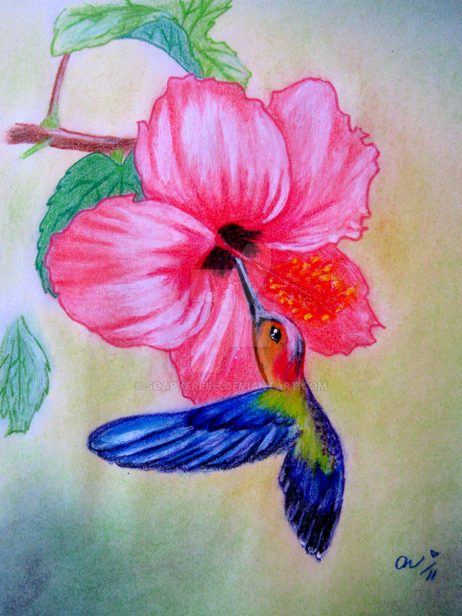 Hummingbird and Hibiscus