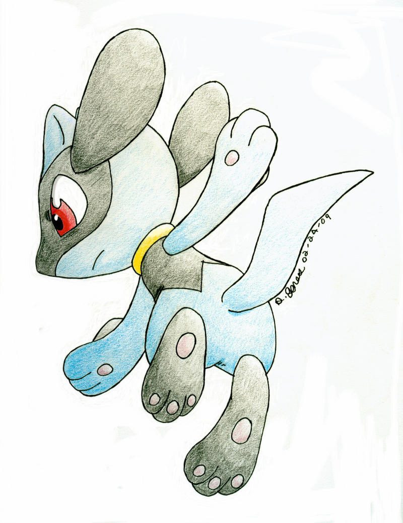 Riolu