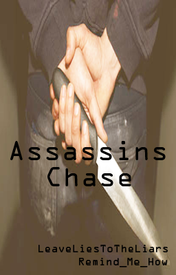 Assassins Chase Book Cover