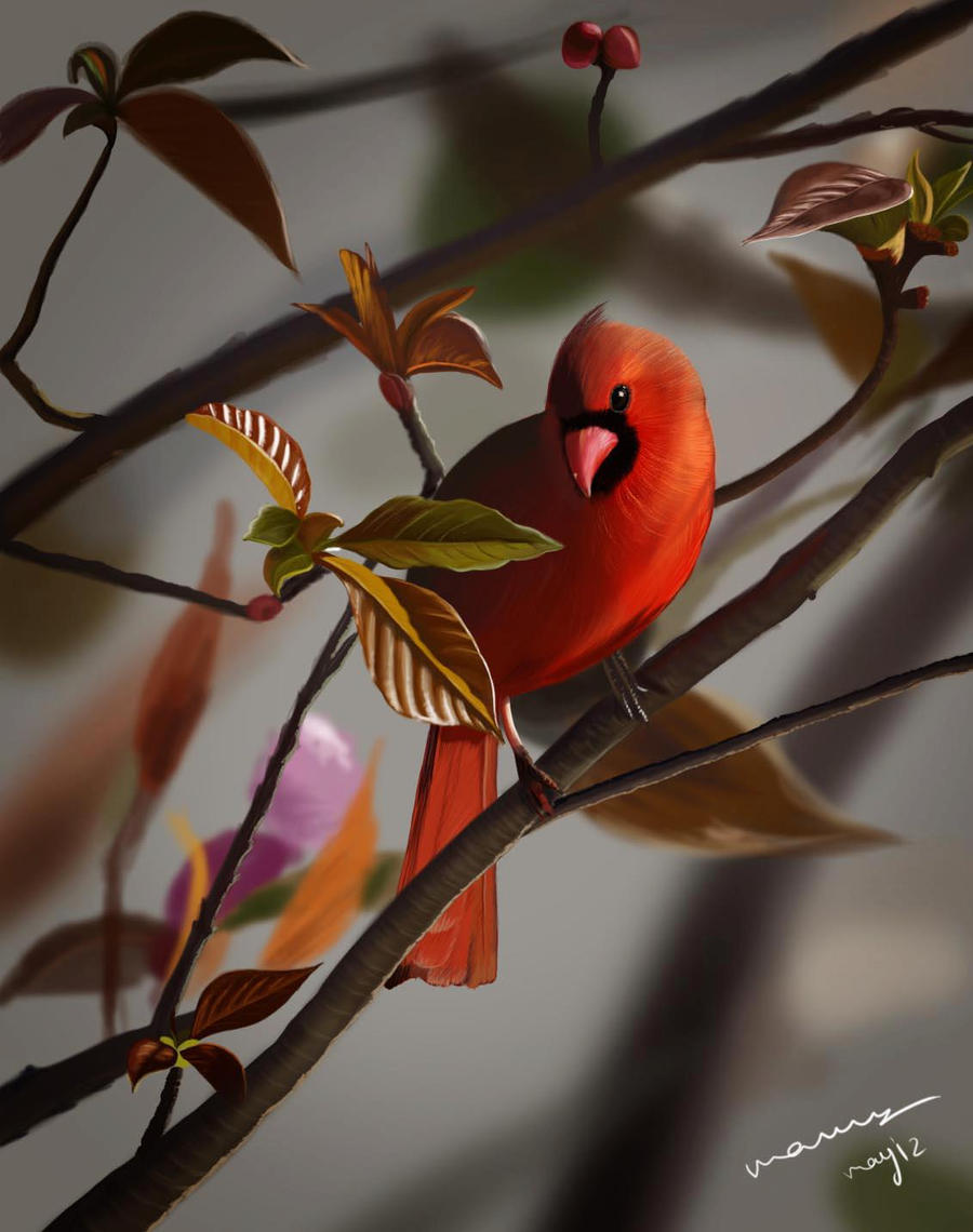 Divine Bird by premdeepmann on DeviantArt