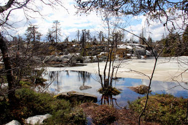 Frozen Lake