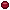 Bulletmaroon