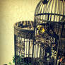 Bird Cage II