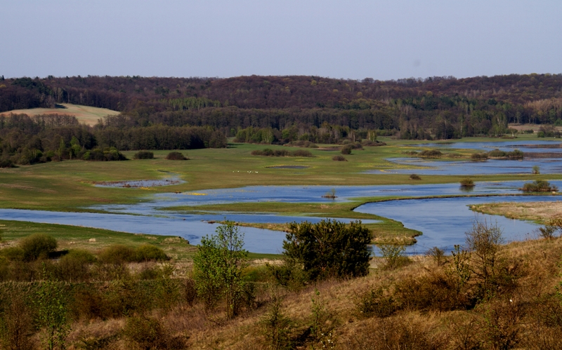 River Narew