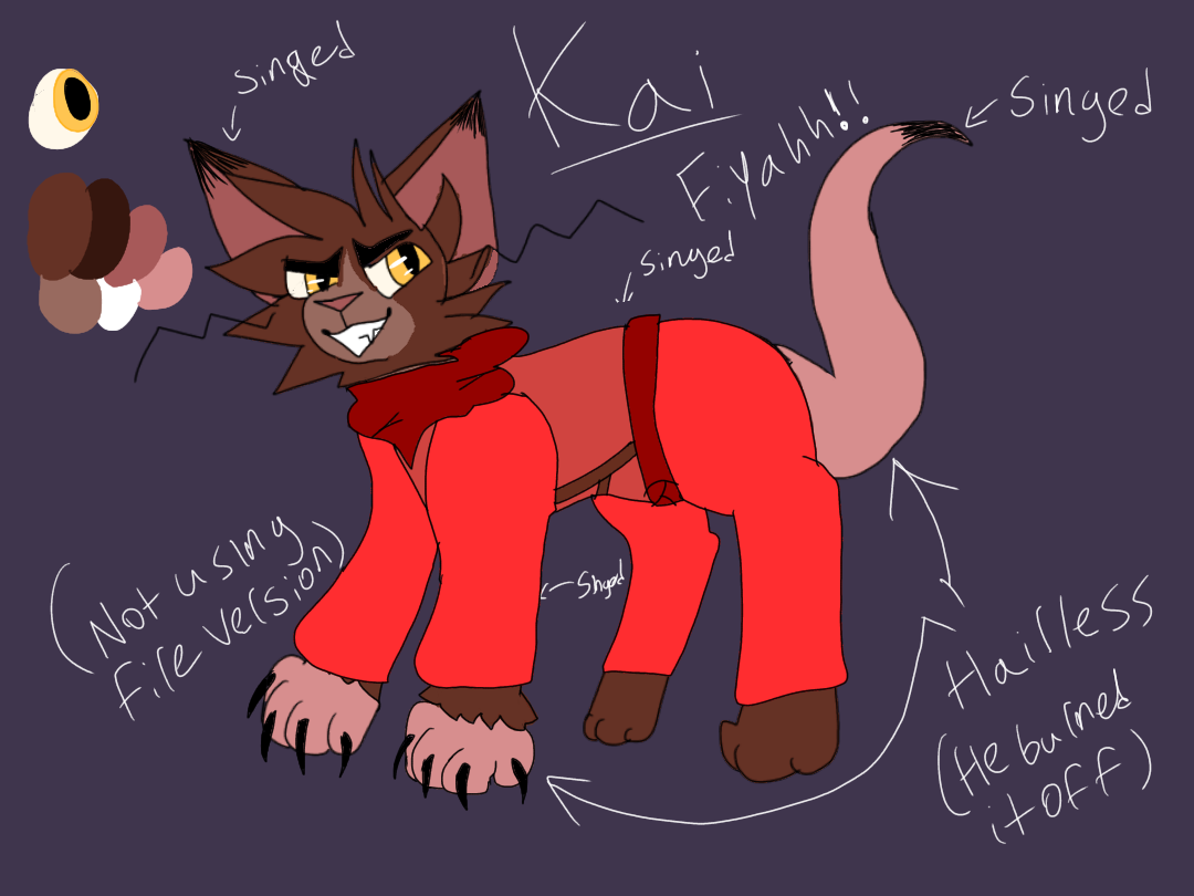 Kai season discount 1 ninjago