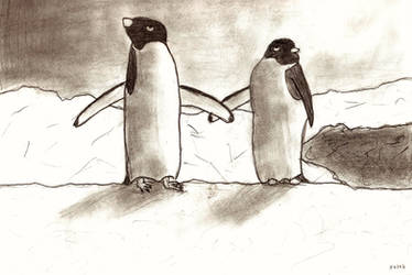 Penguins Holding Flippers