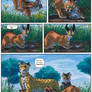 Africa - Page 55 FR