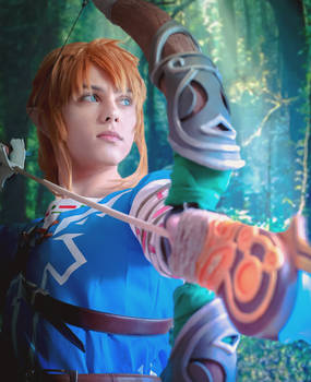 Link - Breath of the Wild Cosplay