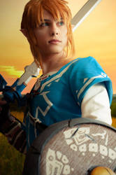 Link - Breath of the Wild Cosplay