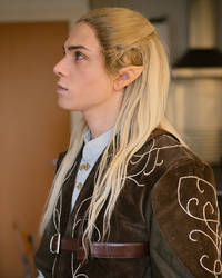 Legolas Cosplay - Lord of the Rings